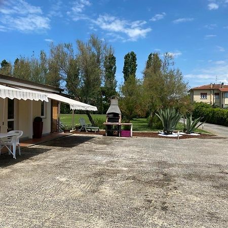Podere Venanzio Lido di Camaiore Dış mekan fotoğraf